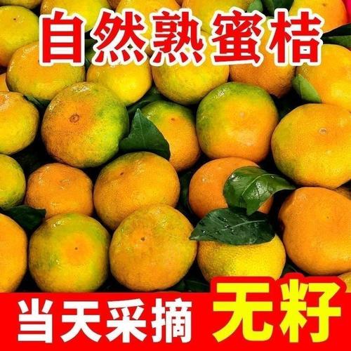 红橘子水果盘点 从甜蜜上市到秋日果实的意义